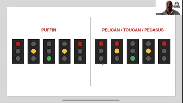 Recorded Pedestrian Crossing Lesson - Image 6